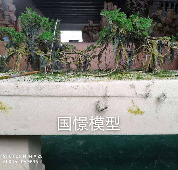 大竹县场景模型