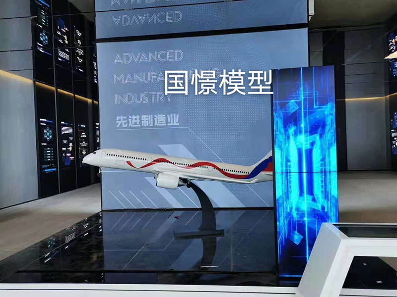 大竹县飞机模型