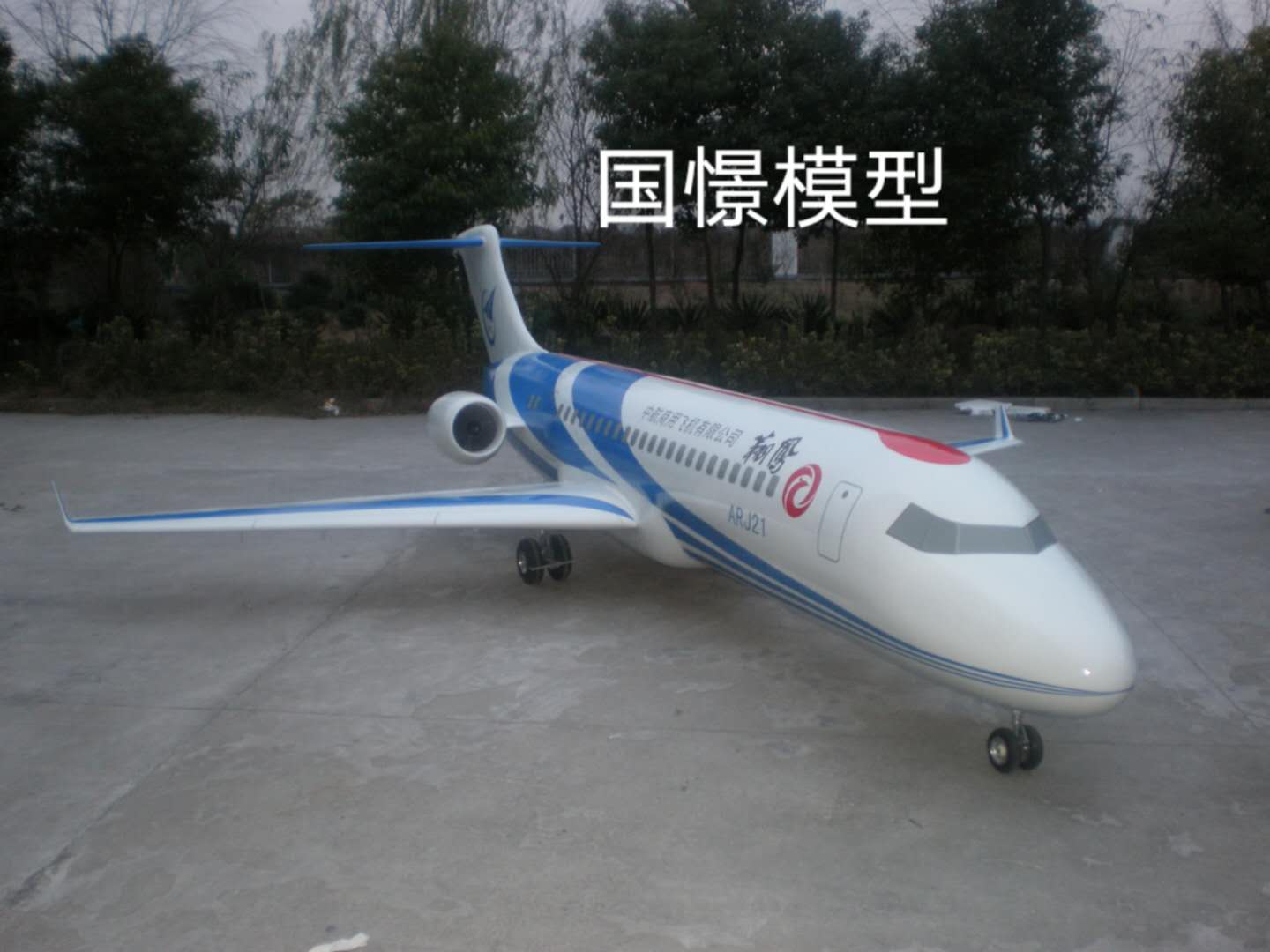 大竹县飞机模型