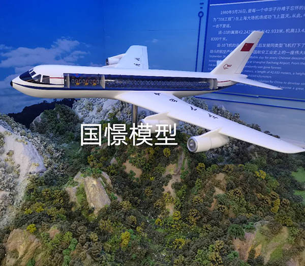大竹县飞机模型