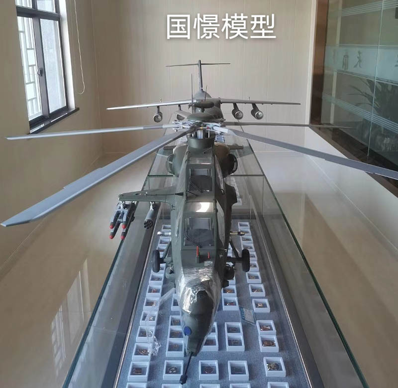大竹县飞机模型