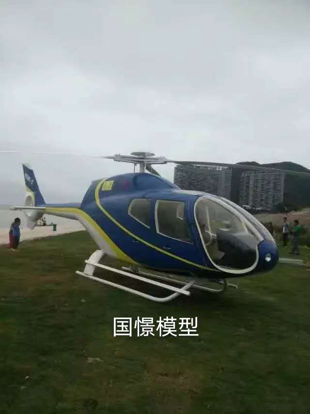 大竹县飞机模型