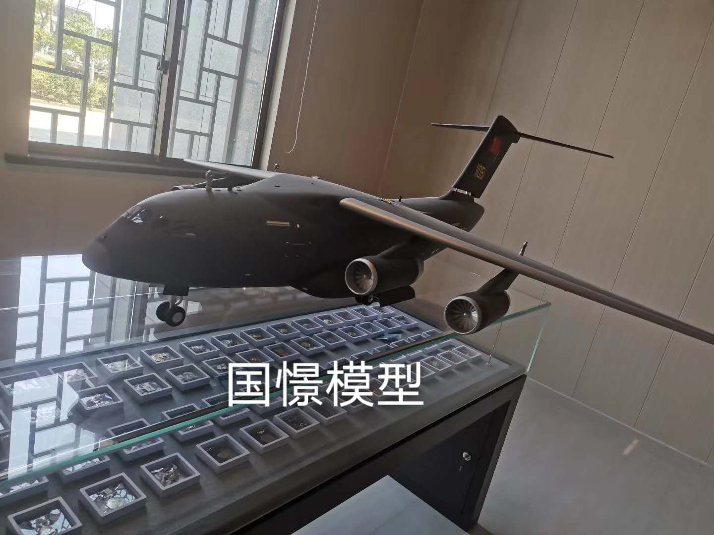 大竹县飞机模型