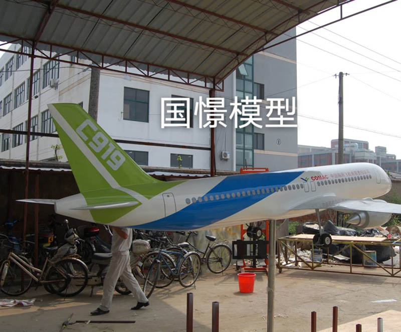 大竹县飞机模型