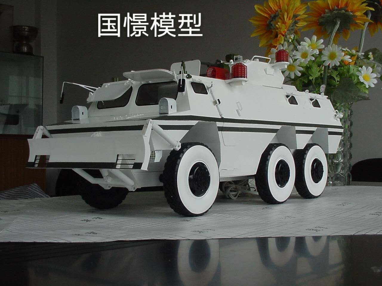 大竹县军事模型